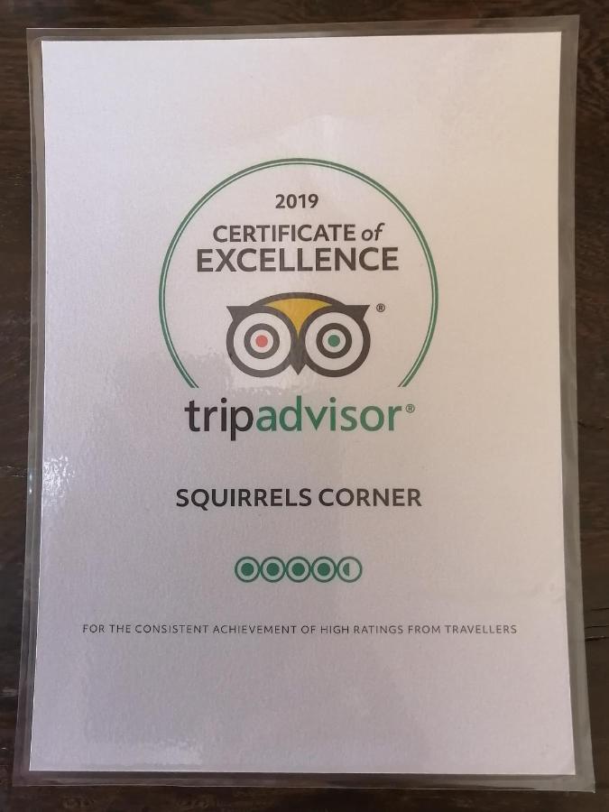 Bed and Breakfast Squirrels Corner Монтегю Экстерьер фото
